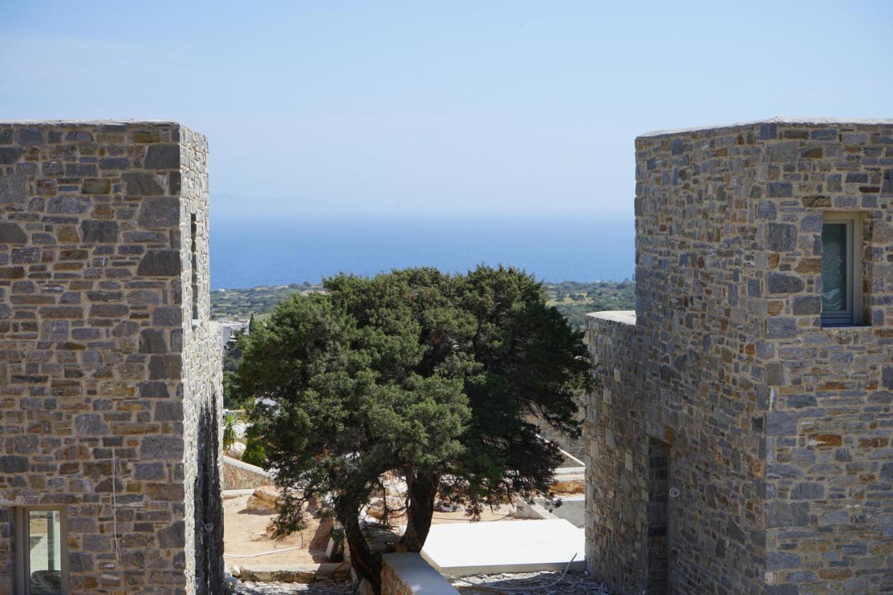 Paros-Memories-Neubau-Villen, Sportpool Aspro Chorio Ngoại thất bức ảnh